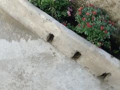 -堂安侗寨