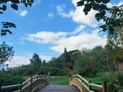 -桤木河湿地公园