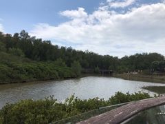 -大亚湾红树林城市湿地公园