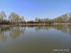 -东郊湿地公园