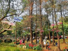 -人民公园(罗湖区)