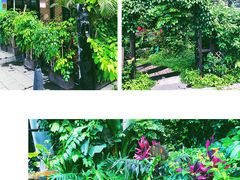 -茶油香闽南菜·花园餐厅(前埔店)
