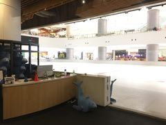 -TheRink大零溜冰场(IFS国金中心店)