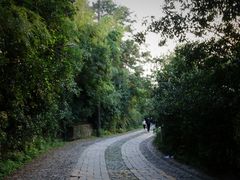 -紫金山山顶公园