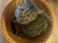 -紫光园·小馆(梨园店)