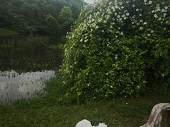 -艾溪湖湿地公园