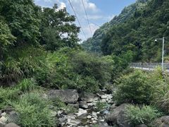 -千岛湖东南湖区
