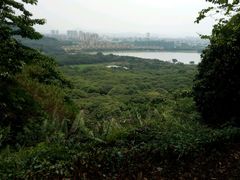 -风云岭森林公园