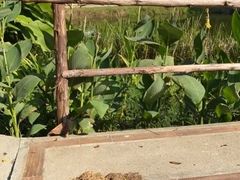 -大象粑粑造纸公园