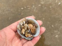 -辽宁团山国家级海洋公园