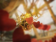 -佐佑帐篷环游记(南锣鼓巷店)