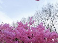 -金茂览秀城