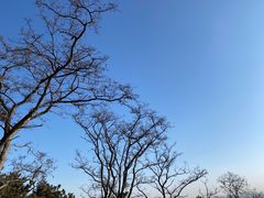 -北京西山国家森林公园