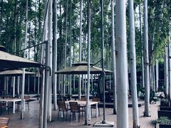 -桉树林A coffee 森林餐厅(三圣乡店)
