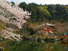 -醍醐寺