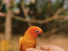 -灵玲国际马戏城