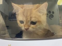 -酷宠动物医院(天通西苑店)