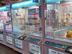-PAWTOY爪e玩偶店(天兴罗斯福店)