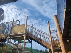 -重庆海昌加勒比海水世界