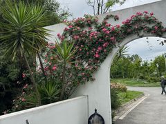 -白鹭湾湿地公园