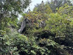 -梭布垭石林景区