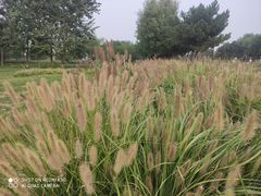 -汉长安城未央宫国家考古遗址公园