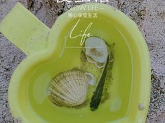 -西涌国际滨海旅游区