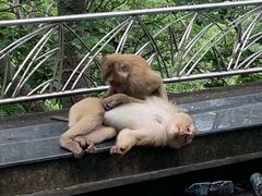 -普吉镇