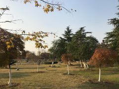 -白塘生态植物园