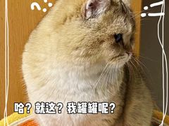 -宠颐生宠物医院·犬猫全科·皮肤科(商业街店)