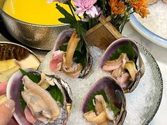 -喜聚薈·花膠雞海鮮火鍋(越秀店)