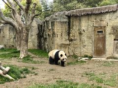 -上海野生动物园