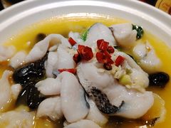 -邵年鸽(杨庄店)