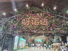 -呀诺达热带雨林