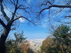 -惠山国家森林公园