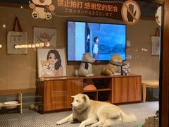 -大江户·温泉洗浴(浑南店)