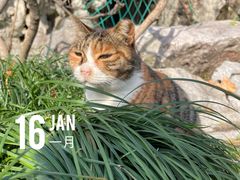 -静安公园(静安寺街道)