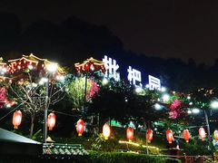 -枇杷园食为鲜火锅(南山店)