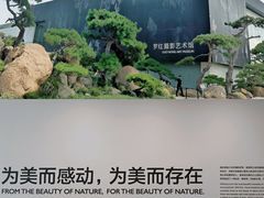 -罗红摄影艺术馆