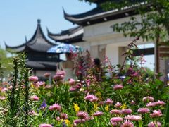 -苏州上方山国家森林公园