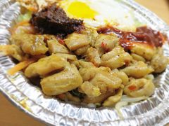 -四川农业大学(雅安校区)