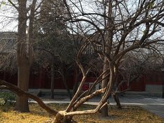 -大钟寺古钟博物馆