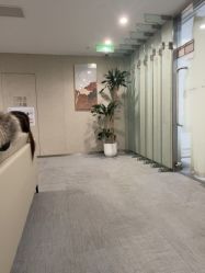 -Yestar艺星整形美容医院