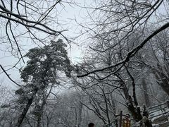 -峨眉山风景名胜区