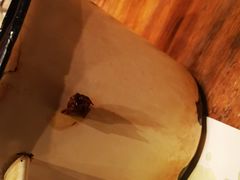 -胡桃里音乐酒馆(万科城市广场店)