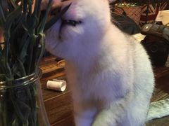 -MIKAKU(万达广场上海宝山店)