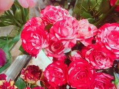 -植物学家的女儿(北马道巷店)