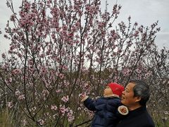 -如皋市龙游湖欢乐世界