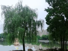 -南翔镇银翔湖公园
