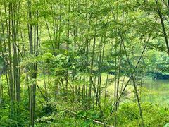 -千泷沟大瀑布旅游区